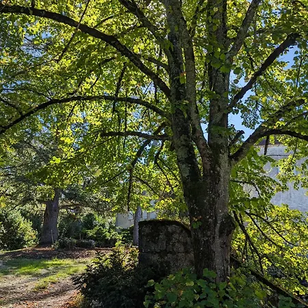 La Carrétale Bed and breakfast Saint-Vincent-Rive-dʼOlt